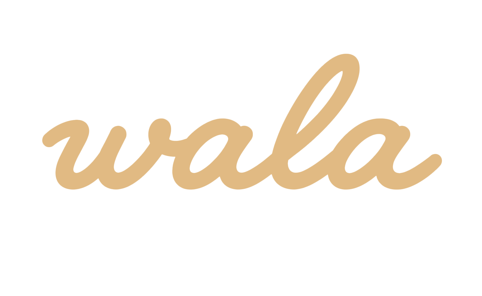 E-commerce Wala